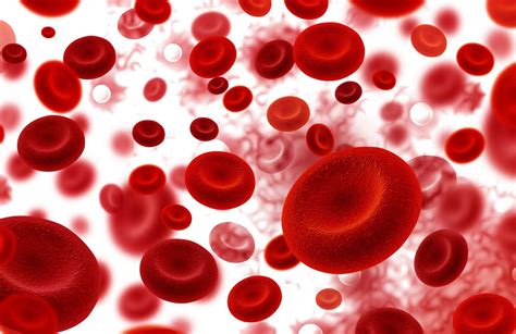 Damning contaminated blood inquiry report now needs to be followed up ...