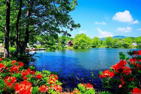 Wallpapers Natural Beauty - Wallpaper Cave