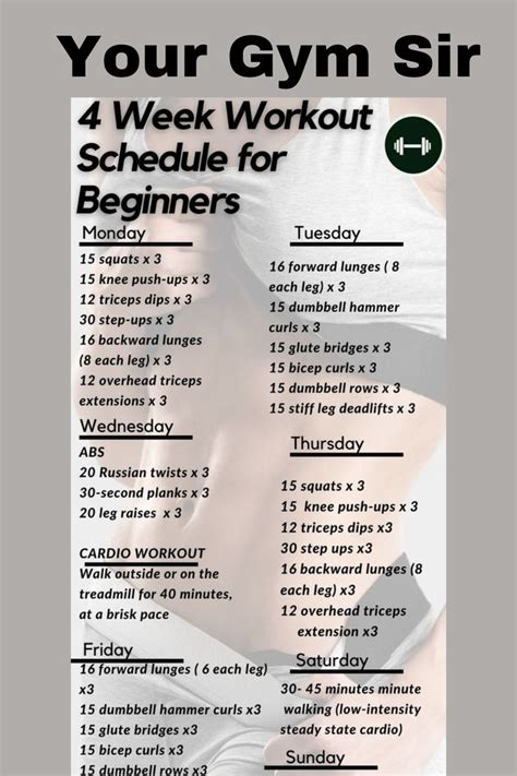 Full Body Workout Guide