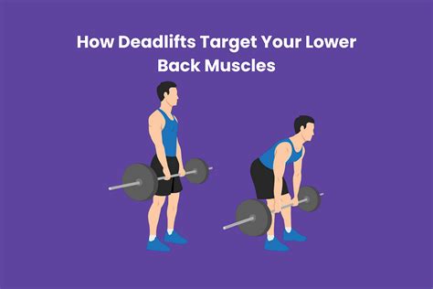 How Deadlifts Target Your Lower Back Muscles | by Aswin Chandran | Medium