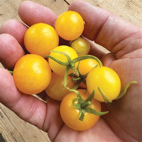 What specific carotenoid, abundant in cooked tomatoes, is often highlighted for its potential role in supporting men’s prostate health?