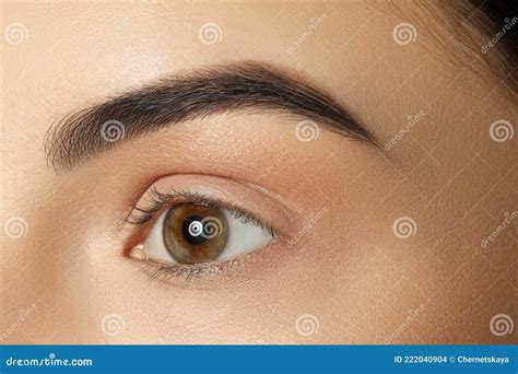 Young Woman with Beautiful Eyebrows, Closeup View Stock Photo - Image of adult, female: 222040904