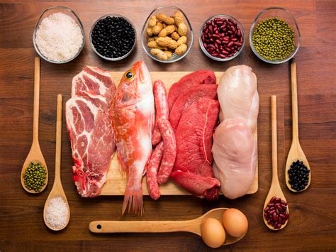 6. Why Protein Is Important and Drives Your Metabolism - Metabolic