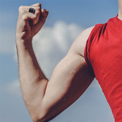 Strength &amp; Blood Flow Restriction Training - New Life Physical Therapy