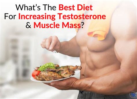 What’s The Best Diet For Increasing Testosterone & Muscle Mass? | Dr ...