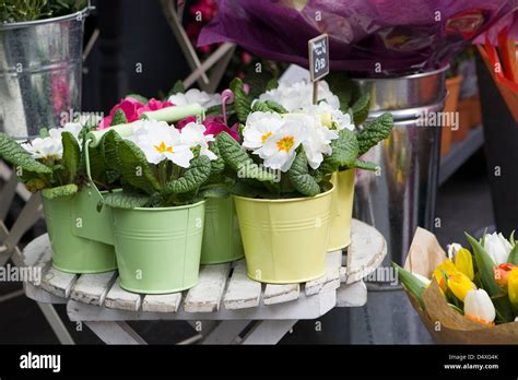 Variety flowers in london hi-res stock photography and images - Alamy