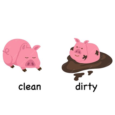 Premium Vector | Opposite words clean and dirty vector illustration