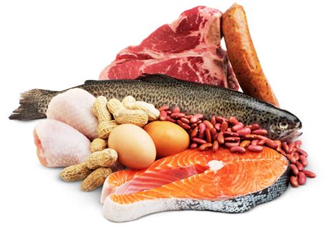 Facts About Proteins | Protein Foods | DK Find Out