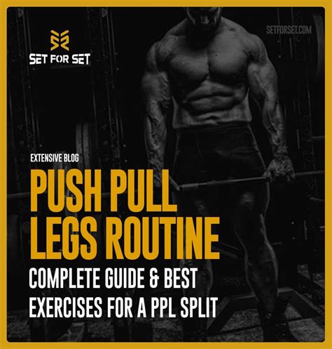 Push Pull Legs Routine: The Ultimate Guide