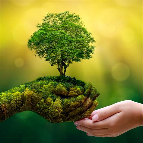 About us - Natural Urges