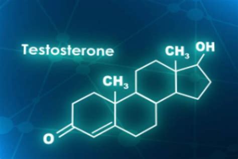 ¿Qué es la testosterona? Para qué sirve - Urologos Cancun