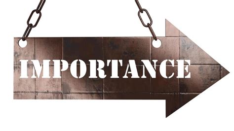 The Importance of Trees in Urban Green Spaces - Simpsons Tree Service