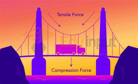 Compression Force Diagram
