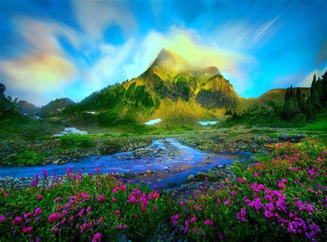 [4400+] Nature Wallpapers | Wallpapers.com