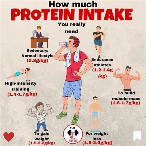 How to optimize daily protein intake for peak muscle recovery and strength?