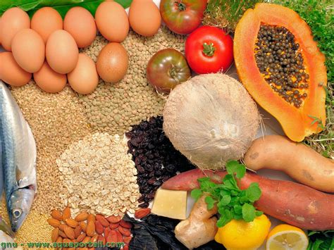 Nutrients Meaning