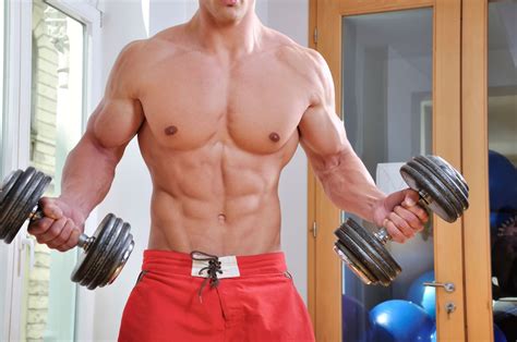 5 Important Muscle Building Tips | Health Articles