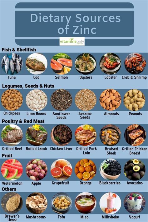 Zinc-rich Foods Chart Zinc Foods High Top Printable Highest