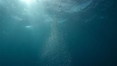 Deep Sea Wallpapers - Top Free Deep Sea Backgrounds - WallpaperAccess