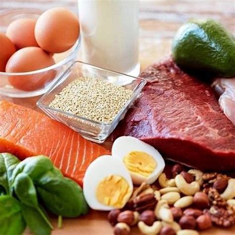 Protein 101: Who Needs It and Why? - Blog | Healthy Options