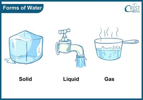 Class 1 Water - Key Concepts Explained | CREST Olympiads