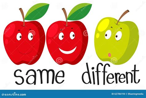 Opposite Adjectives With Same And Different Stock Vector - Image: 62786194