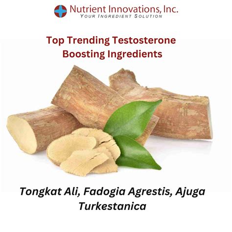 Top Ingredients for Testosterone Support - Nutrient Innovations Inc