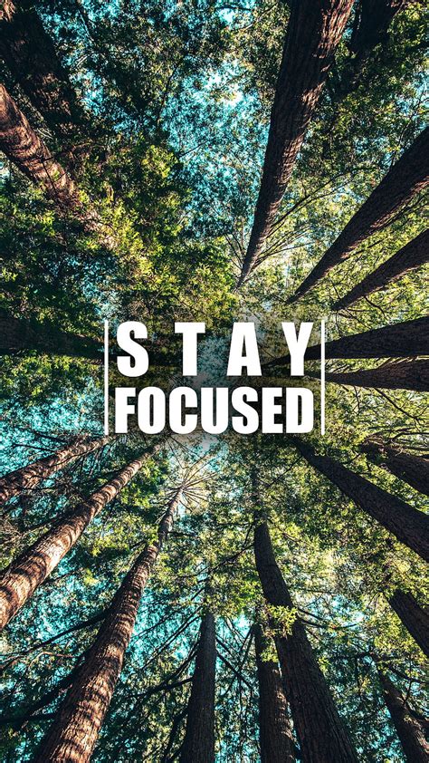 Stay Focused Quote
