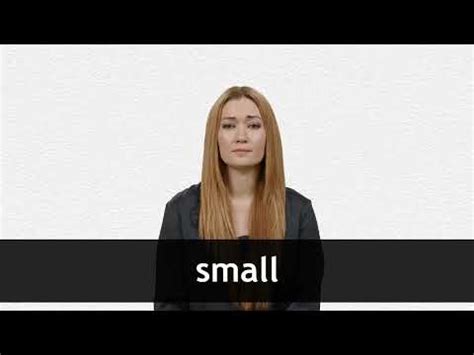 SMALL - Definition &amp; Translations | Collins English Dictionary