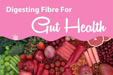 The Importance of Dietary Fibre for Gut Health 💩 Foods Online Australia | FodShop