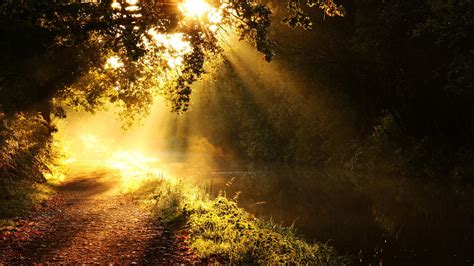 Sunlight Wallpaper