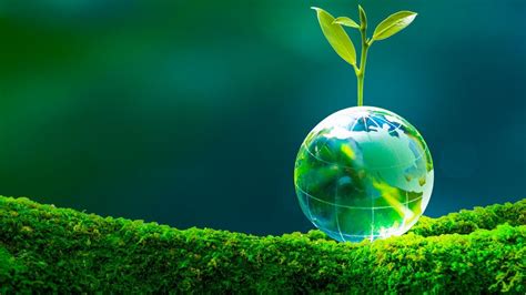 Opinion | Pour un plan de relance des « Objectifs de développement ...