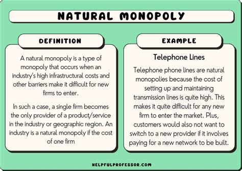 10 Natural Monopoly Examples (2025)
