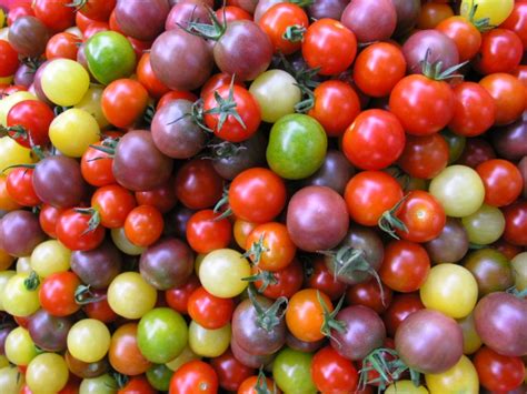 Top 10 Foods for Prostate Health