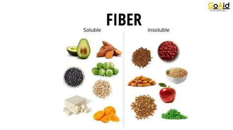 The Ultimate Guide to High-Fiber Foods for a Healthier You
