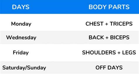 Best Workout Split Routines - Fabulous Body