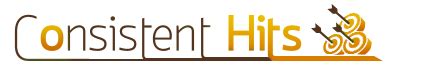 Company Profile | Consistent Hits WordPress Design &amp; Management