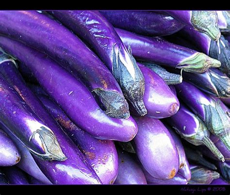 Colorful Vegetables | Mood board inspiration, Color, Colorful vegetables