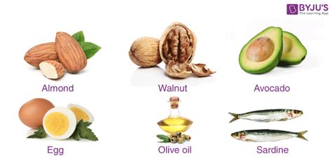 Importance of Fats - Types of Fats, Sources and its Benefits