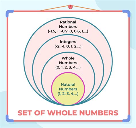 Whole Numbers - Definition, Properties and Examples - GeeksforGeeks