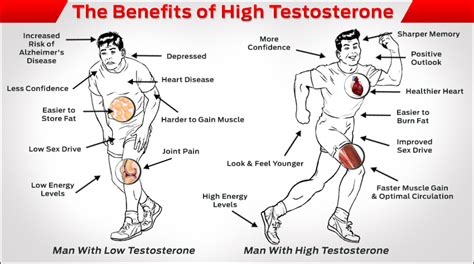 4 Foods to Keep Your Testosterone Buzzing | Critical Bench