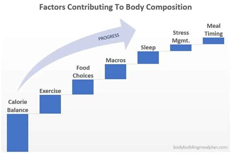 The Anabolic Window Is No Myth: Explained By A Nutrition Expert