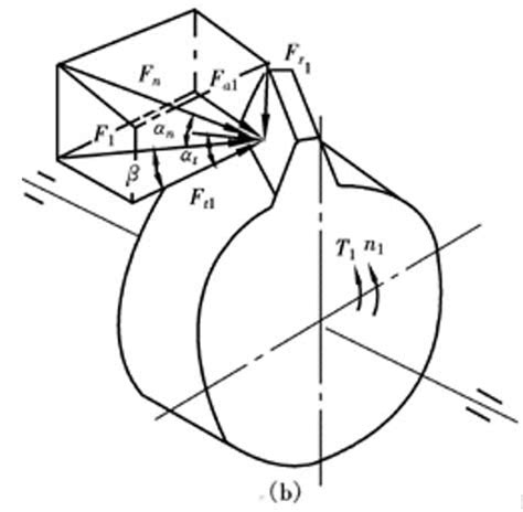 Force analysis of helical gear – ZHY Gear