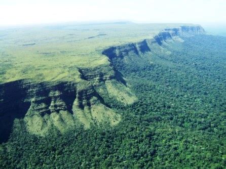 A Women&#039;s BJJ Blog: Hitting a Plateau