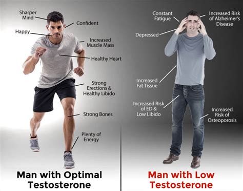 Which micronutrients are most crucial for supporting healthy testosterone levels in men?