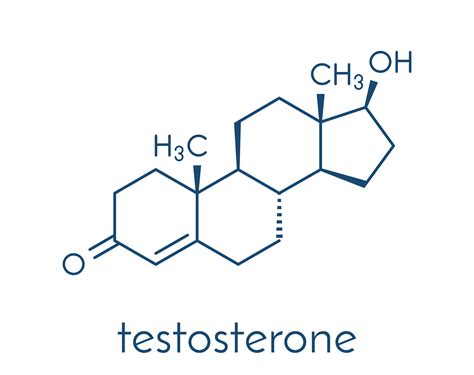 All About Testosterone Therapy | American HGH Clinics