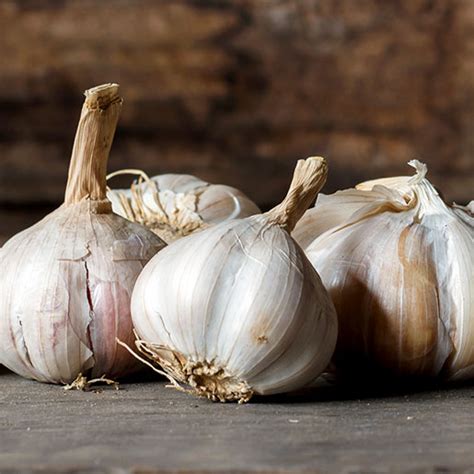 11 Proven Health Benefits Of Garlic | atelier-yuwa.ciao.jp