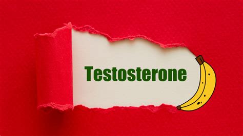 Top 10 Benefits of High Testosterone Level - StoryMag