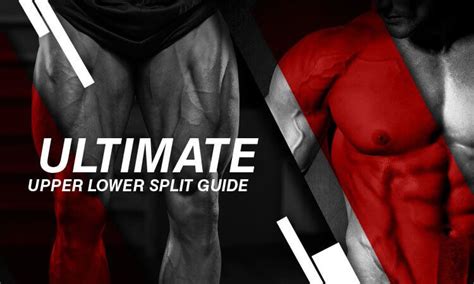 The Ultimate Upper Lower Split Guide: 2 Day, 3 Day, &amp; 4 Day Workouts ...