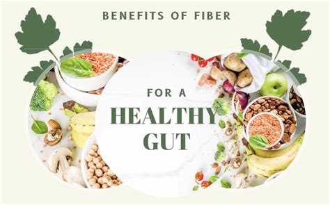 Benefits of Fiber for a Healthy Gut – IOPBM